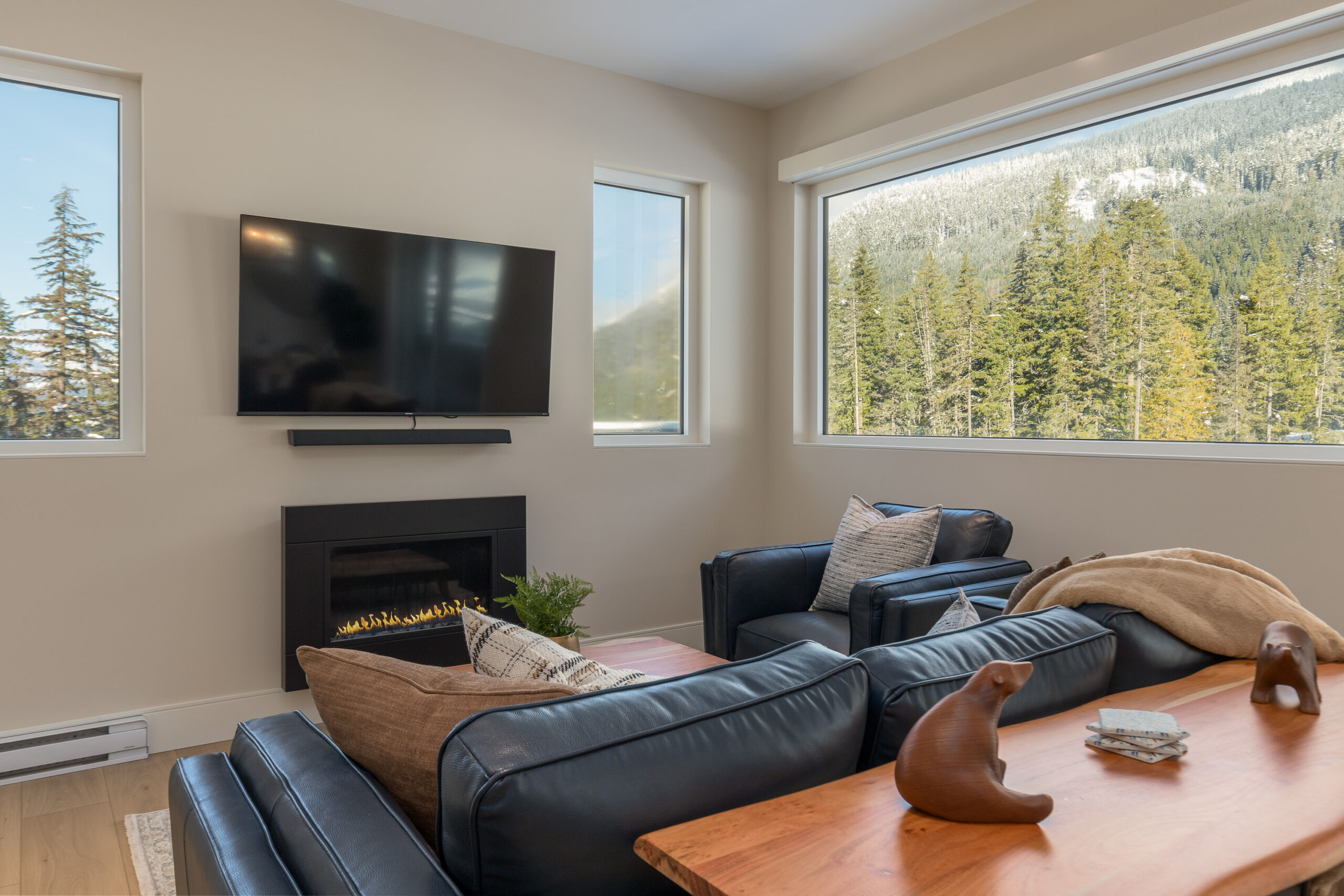 Cleaning Company Whistler